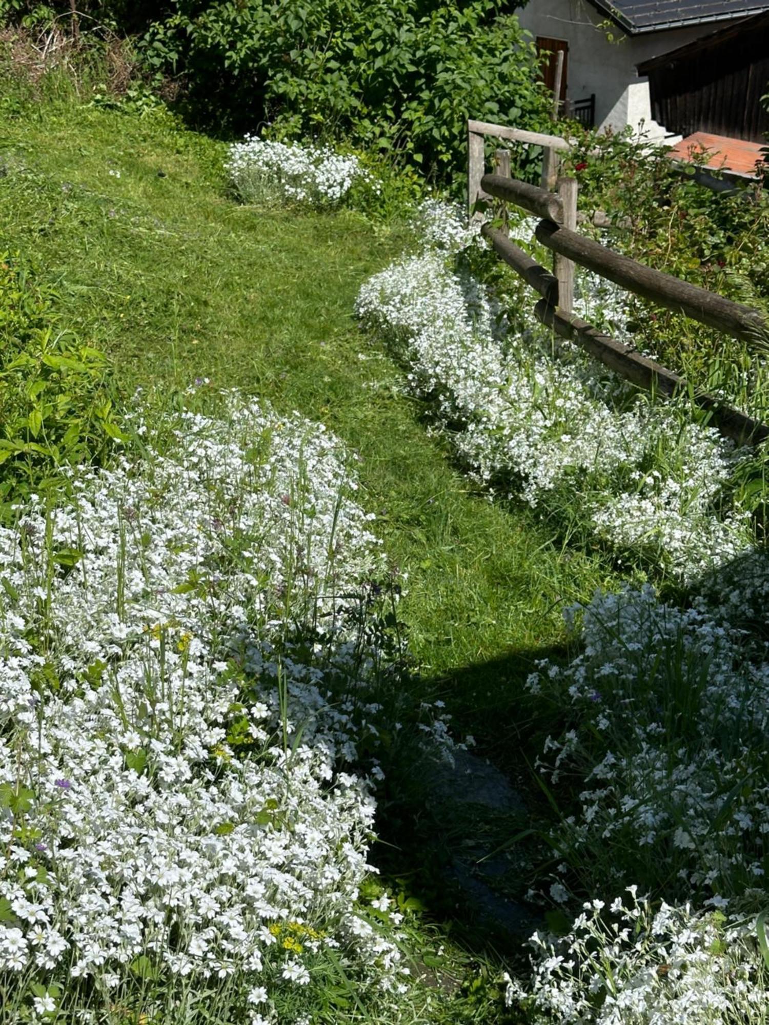 Huguette Studio 18M2 Courchevel Luaran gambar